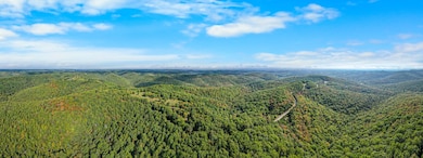 000 Pine Top Rd, Hollister, MO 65672 - photo 6