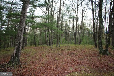 0 Jerome Rd unit VASH2001484, Mount Jackson, VA 22842 - photo 6