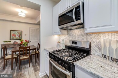 46630 Drysdale Terrace unit 200, Sterling, VA 20165 - photo 7