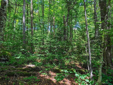 0 Alpendorf Ave, Readsboro, VT 05350 - photo 4