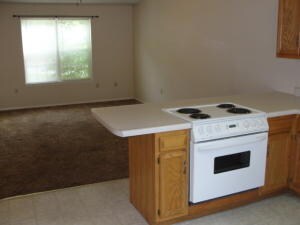 3610 Shields Dr, Harrison, AR 72601 - photo 6