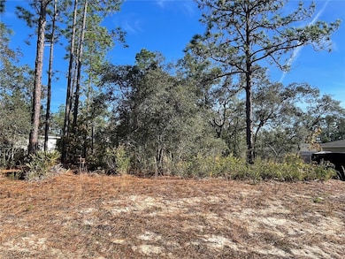 11475 N Kenney Loop, Dunnellon, FL 34433 - photo 2