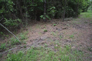 CR460/Cook Rd, Etoile, TX 75944 - photo 4