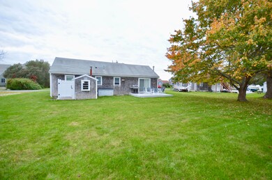 Large back yard