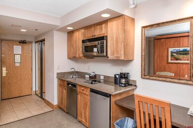 6 Emmons Rd unit 218, Crested Butte, CO 81225 - photo 4