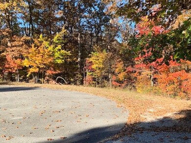 Fall Colors