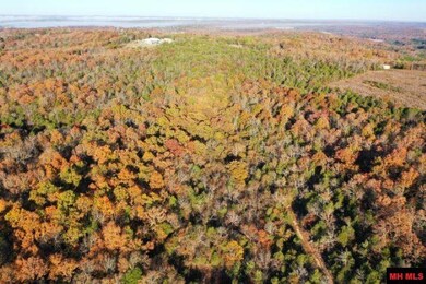 002-04087-000 Chappie Ln, Henderson, AR 72544 - photo 7