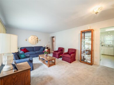 Large Living Room