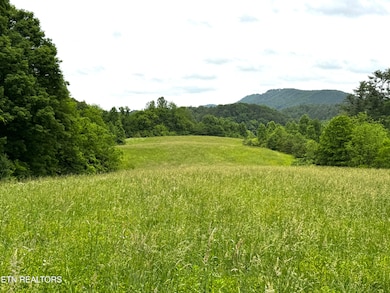 0 Licklog Hollow Rd, Sevierville, TN 37876 - photo 4