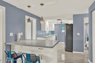 13332 Lisa Dr, Hudson, FL 34667 - photo 5