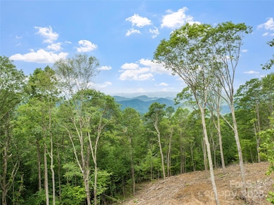 Lots 16 and 17 Ramp Patch Trail, Burnsville, NC 28714 - photo 7