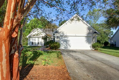 1529 Sweet Myrtle