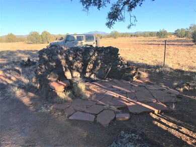 41 N Honeysuckle Rd, Ash Fork, AZ 86320 - photo 4