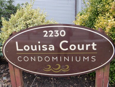 LOUISA CT 2 035
