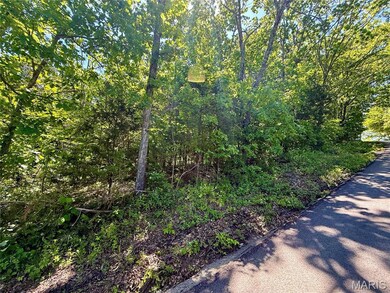 0 Cyclone Rd, Union Township, MO 63630 - photo 3