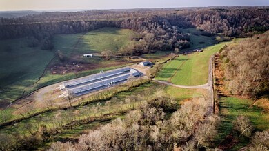 706 Petty Branch Rd, Pulaski, TN 38478 - photo 2