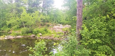 Little River Water is low right now