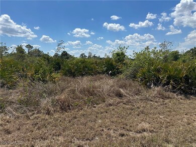 View of local wilderness