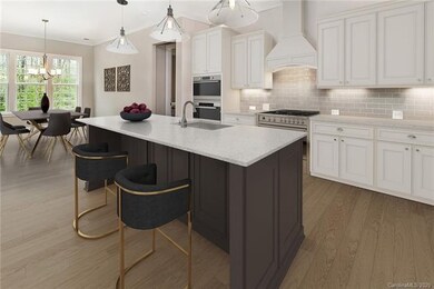 Representational Photo Only - Design Choices May V
