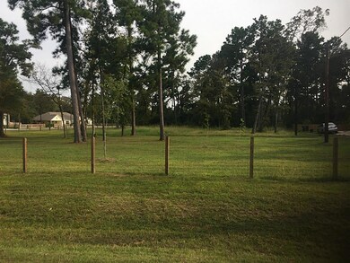 26001 W Lake View Ct, Hockley, TX 77447 - photo 6