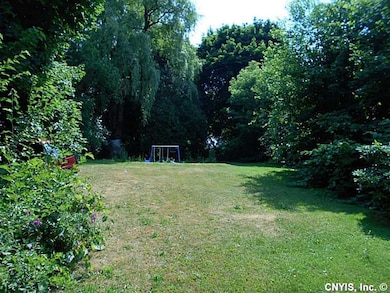 Backyard.