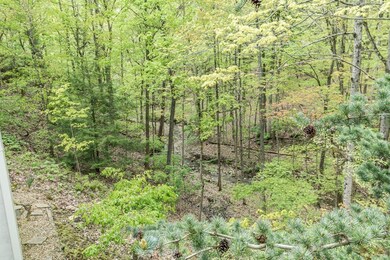 1.2 Acre Ravine Lot