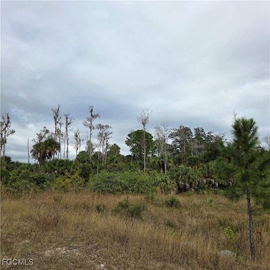 623 Lionel Ct, Lehigh Acres, FL 33972 - photo 5