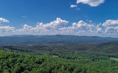 Additional View