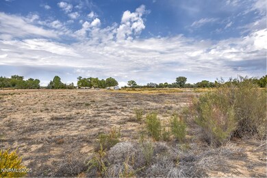 895 Howard Place, Fallon, NV 89406 - photo 6