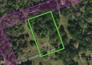 2811 Hackberry Run, Alvin, TX 77511 - photo 3