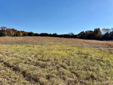 150 Holloway Ln, Greenbrier, AR 72058 - photo 4