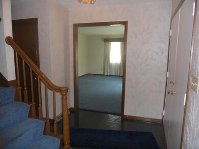 Picture 348