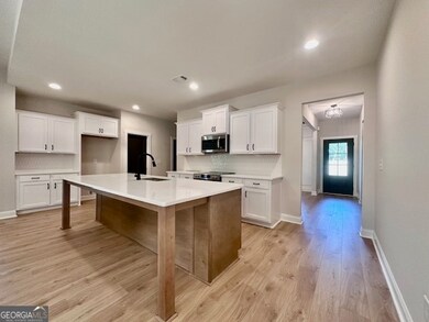 244 Deer Creek Run unit LOT 17, Moreland, GA 30259 - photo 4