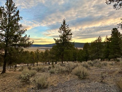 0 Murrelet unit Lot 1193 220174095, Klamath Falls, OR 97601 - photo 4