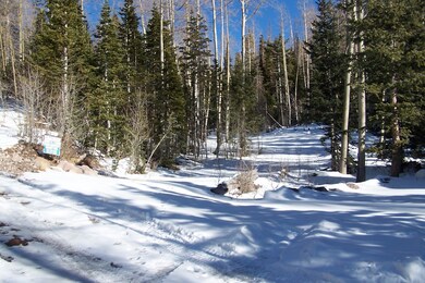 571 W Kokopelli Loop unit SVE unit C Blk C Lot, Brian Head, UT 84719 - photo 2