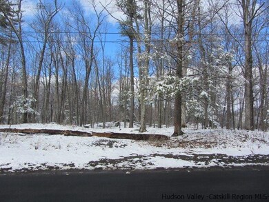 T/B/D Rokeby Rd, Red Hook, NY 12571 - photo 2