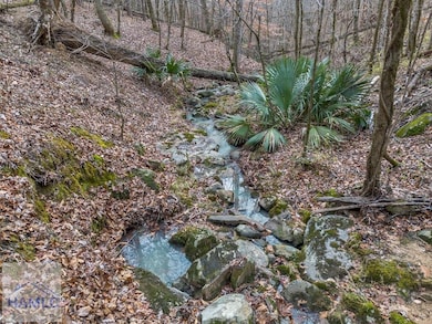 0 Dennis Creek Rd unit 158990, Talbotton, GA 31827 - photo 6