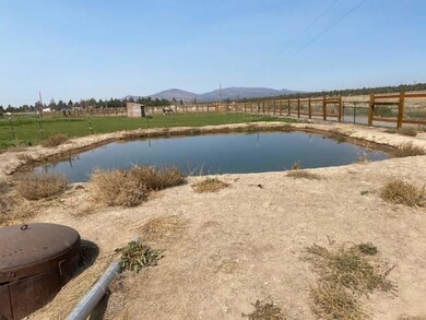 Pond