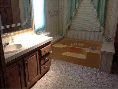 3906 Damian Dr, Zephyrhills, FL 33541 - photo 6