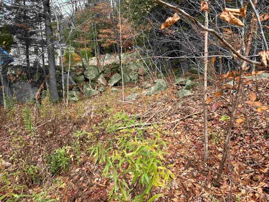 102 Colburn Farm Rd, Newbury, NH 03255 - photo 6