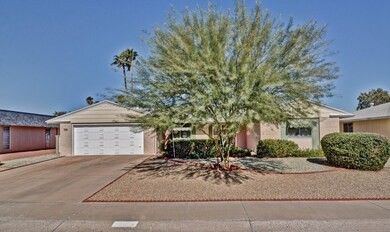 nice front shade tree