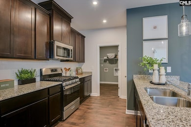 456 Lady Liberty Way, Lexington, SC 29073 - photo 3