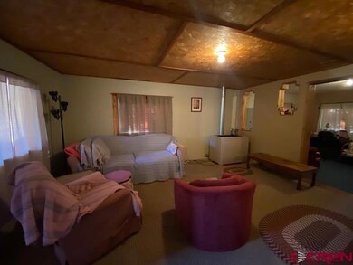 340 S Walnut St, Mancos, CO 81328 - photo 4
