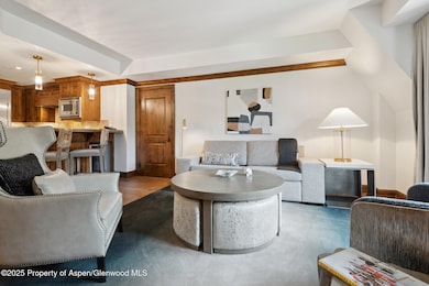 415 E Dean St Unit 36 Weeks 5 & 6, Aspen, CO 81611 - photo 5