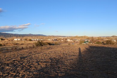 Tbd Cedar Ave, Canon City, CO 81212 - photo 6
