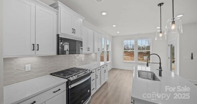 114 Canary Ln unit 4, Mooresville, NC 28115 - photo 4