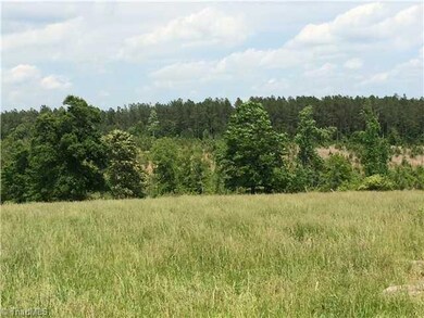 3159 Grantville Ln, Asheboro, NC 27205 - photo 3