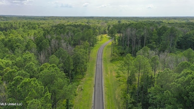 Springwood Trail Lot: 18, Flora, MS 39071 - photo 2