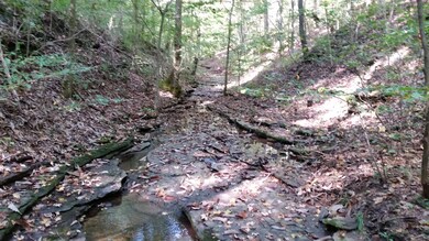 Creek on property