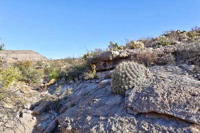SEC 20 Claret Cup, Terlingua, TX 79852 - photo 7
